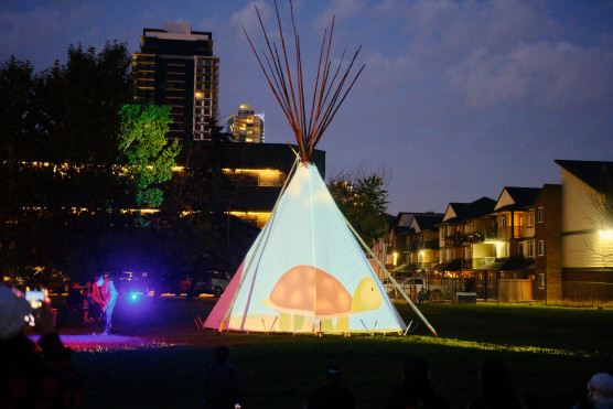 EM Twilight Celebrations 175  DSF6389