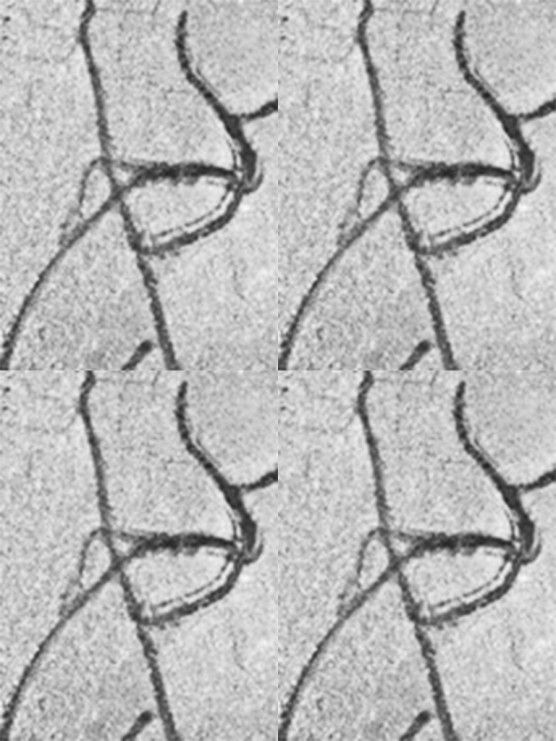 Marching Image ScaleWidthWzU1Nl0